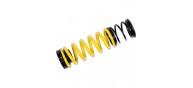 ST Suspensions Adjustable Lowering Springs